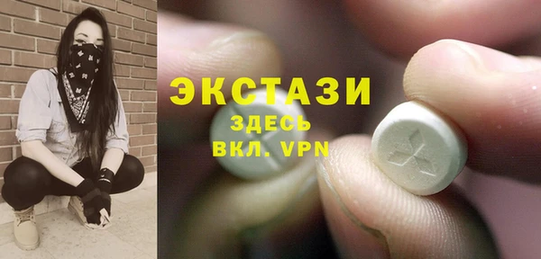 мет Алексин