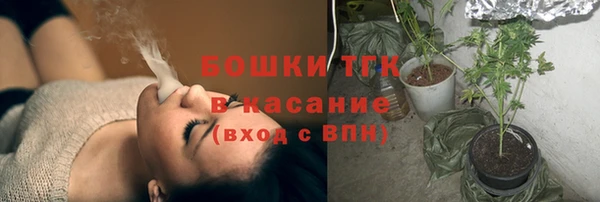 мет Алексин