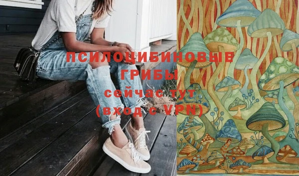 мет Алексин