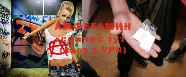 мет Алексин