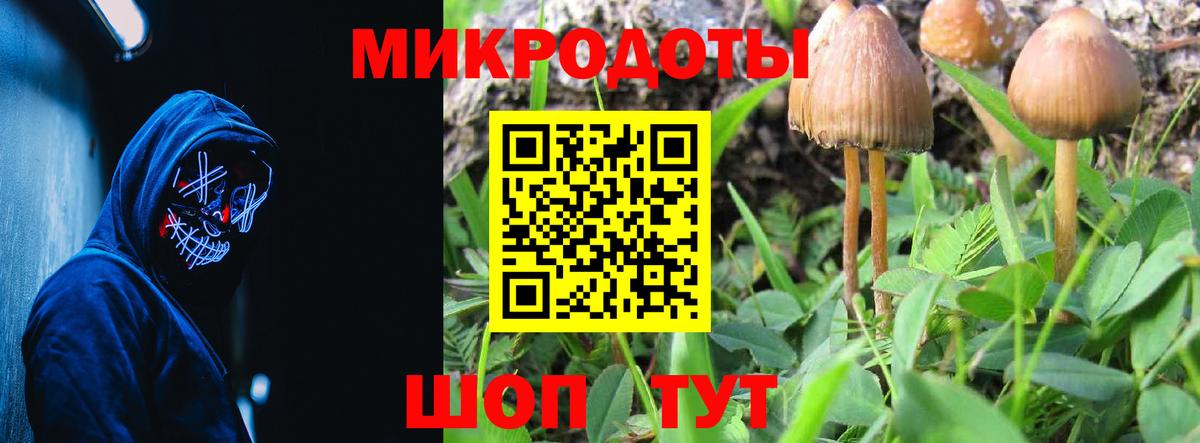 Асино  Псилоцибиновые грибы Psilocybe  наркошоп  Псилоцибиновые грибы Psilocybine cubensis  Вход с VPN 
